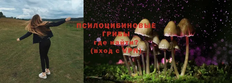 Галлюциногенные грибы MAGIC MUSHROOMS  Омск 